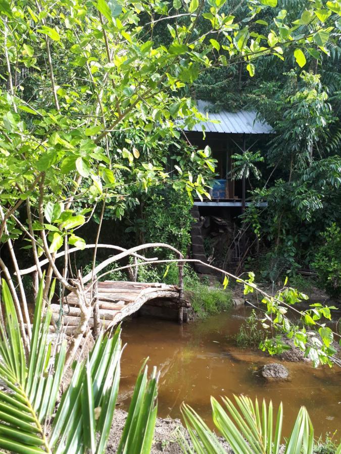 Sungaipisang苏门答腊生态小屋公寓 外观 照片