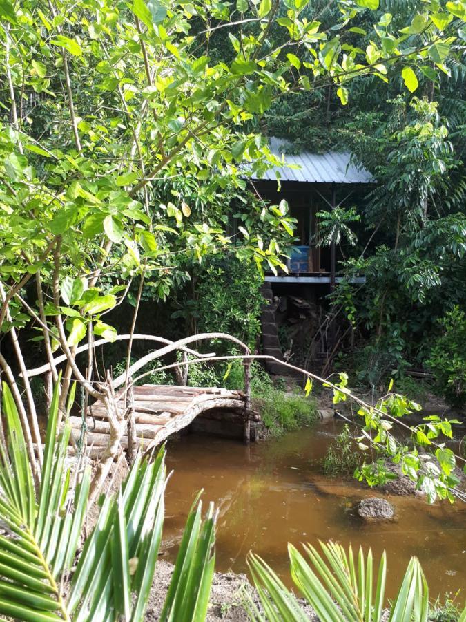 苏门答腊生态小屋 Sungaipisang 外观 照片