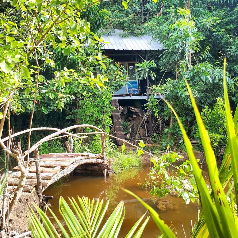 苏门答腊生态小屋 Sungaipisang 外观 照片