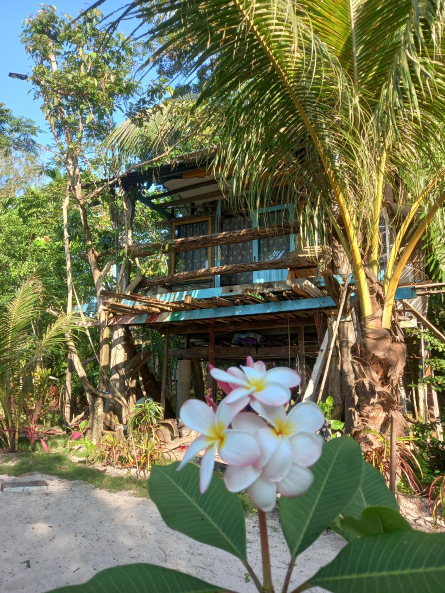 苏门答腊生态小屋 Sungaipisang 客房 照片
