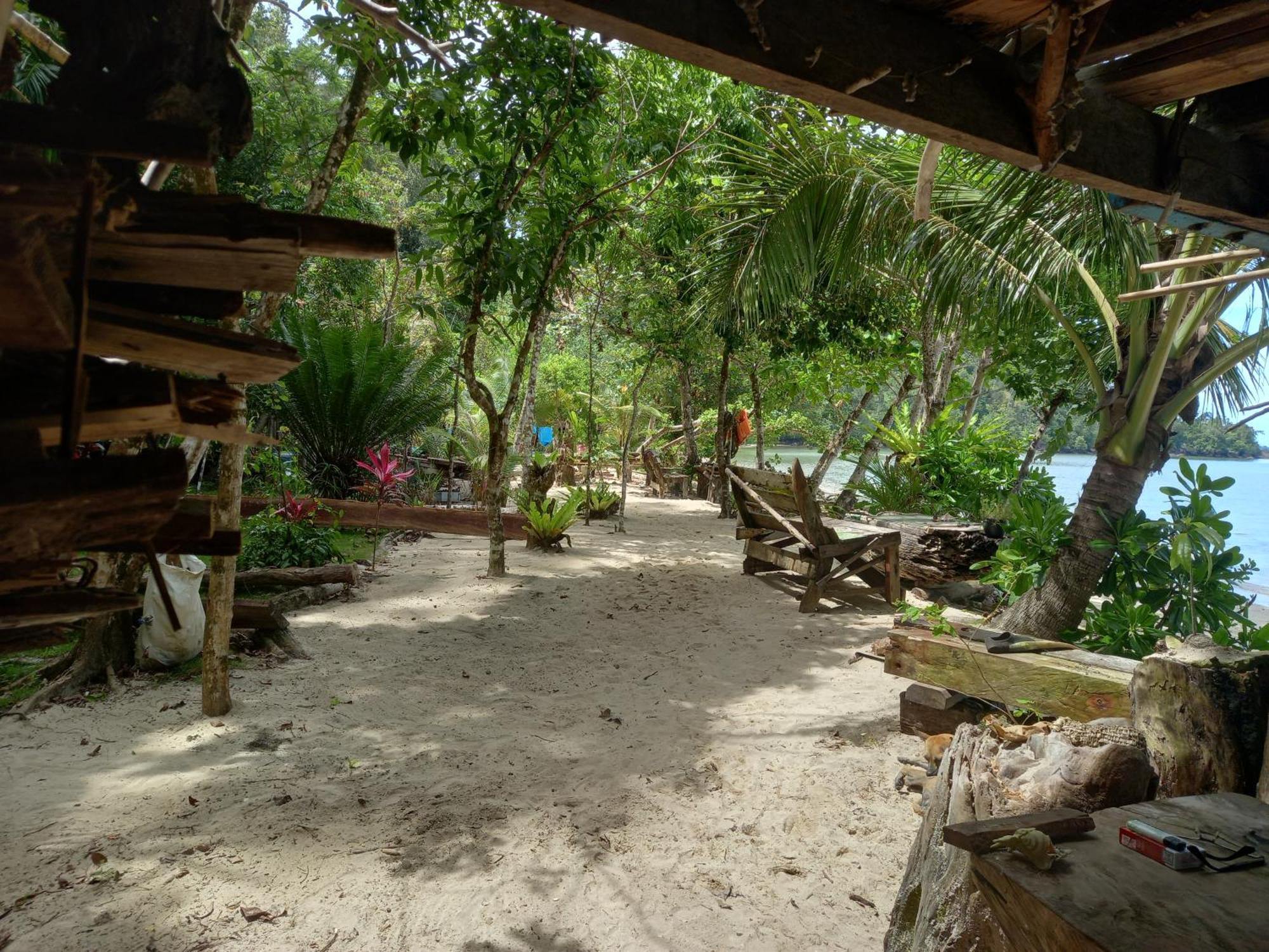 苏门答腊生态小屋 Sungaipisang 外观 照片