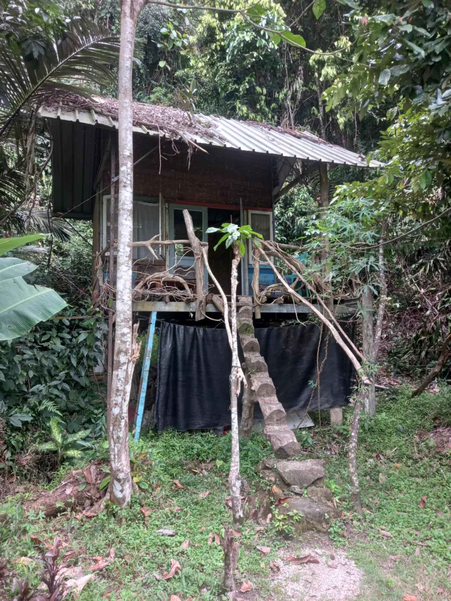 苏门答腊生态小屋 Sungaipisang 客房 照片