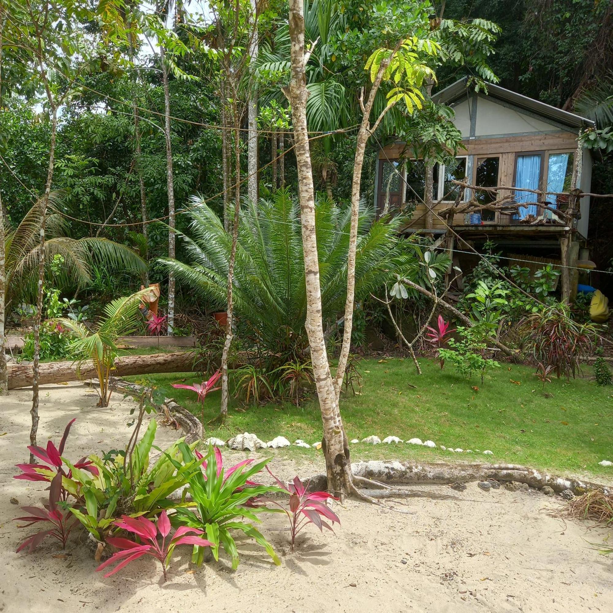 苏门答腊生态小屋 Sungaipisang 客房 照片